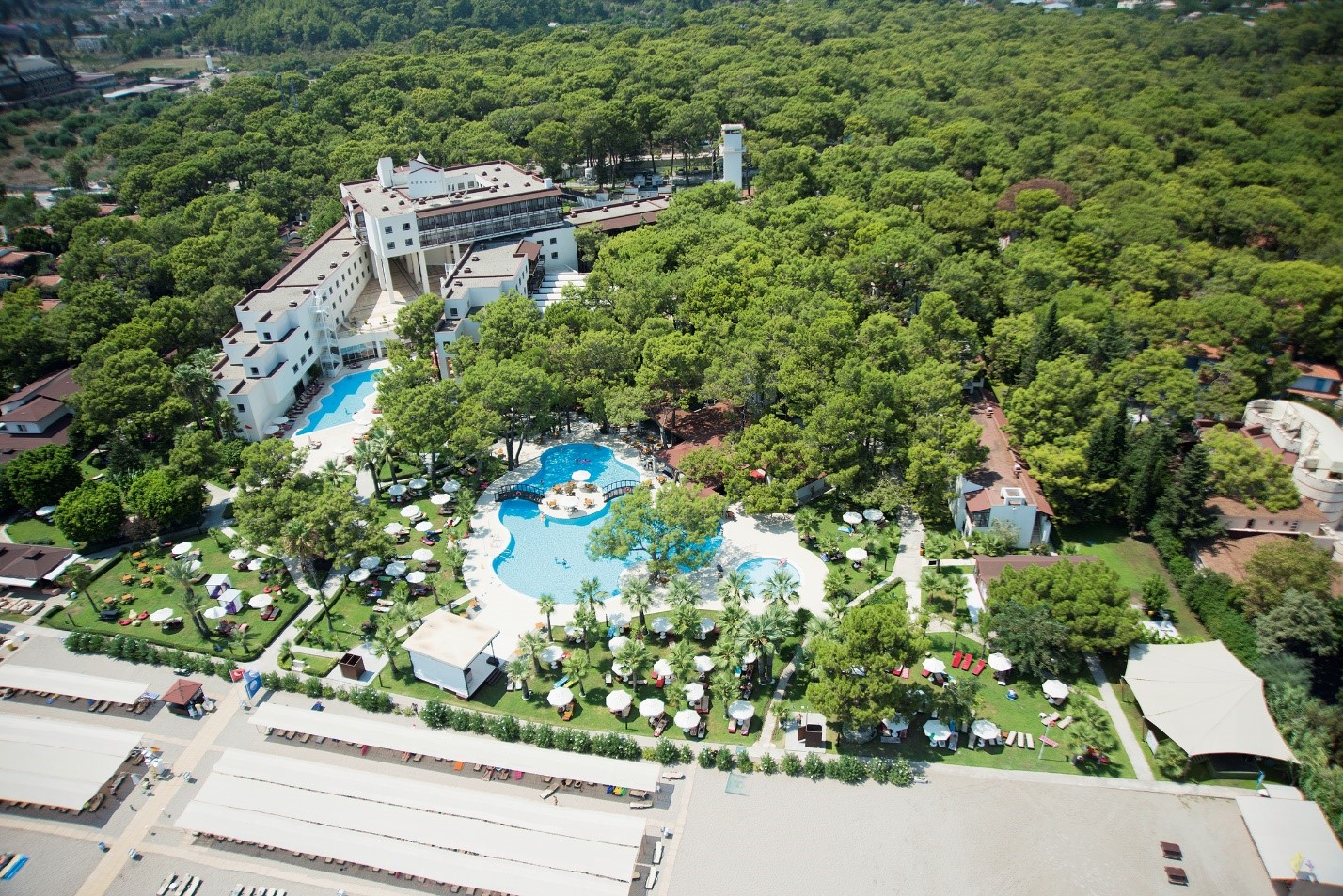 seven seas hotel blue турция сиде